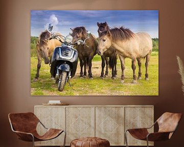 Vier wilde Pferde bewundern einen Roller von Rob Kints