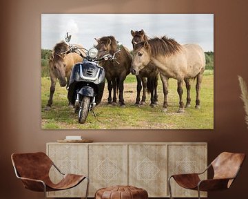 Vier wilde Paarden bewonderen een Scooter van Rob Kints