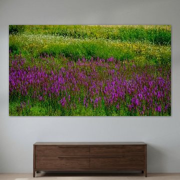 Biesbosch_Impression