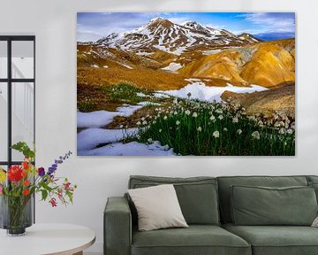 Colourful mountains in Kerlingarfjöll Iceland with snowdrops in the foreground by Kevin Pluk