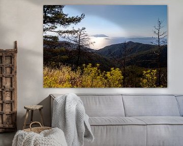 Landschaft im Gegenlicht auf der Insel Rhodos von Reiner Conrad