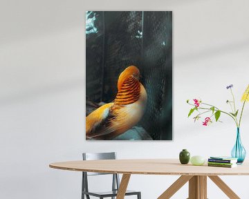 orangefarbener Vogel im Käfig, der hinausstarrt von Rinaldo Ten zijthoff
