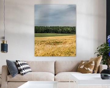 Wheatfield with poppies in Gelinden (B) by Martine Dignef