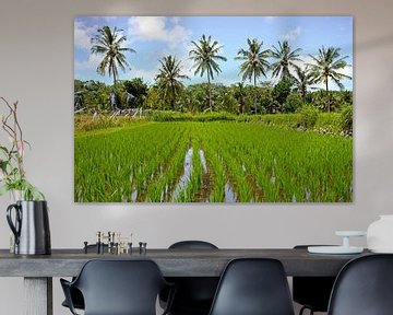 Tropisch landschap met rijstvelden op Java in Indonesie van Eye on You