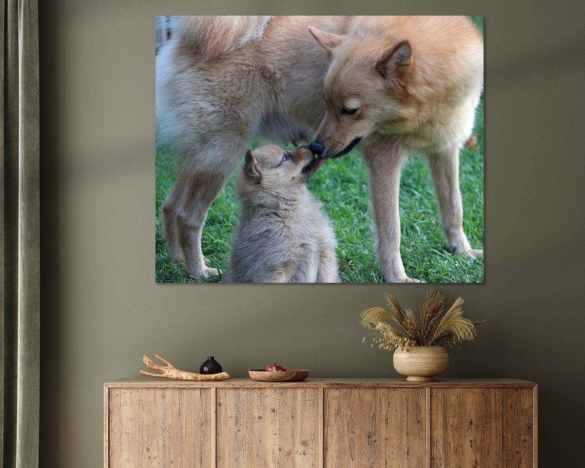 Raumvorschau