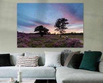 Sunset on the purple heather fields! by Peter Haastrecht, van