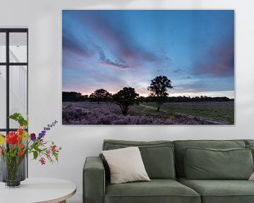 Sunset on the purple heather fields! by Peter Haastrecht, van