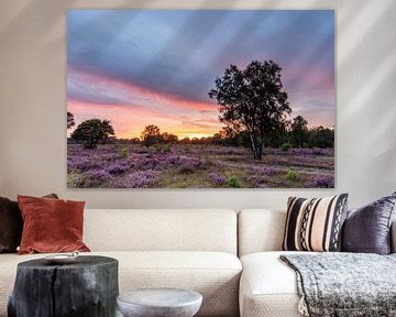 Coucher de soleil sur les landes violettes ! sur Peter Haastrecht, van