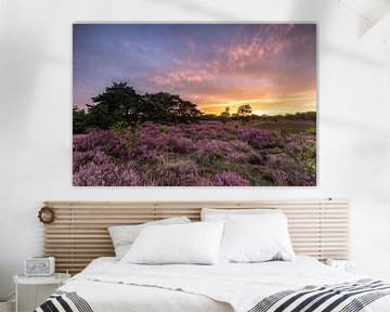 Coucher de soleil sur les landes violettes ! sur Peter Haastrecht, van