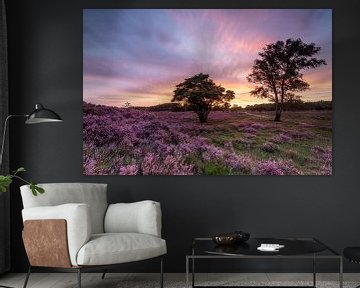 Sunset on the purple moors! by Peter Haastrecht, van