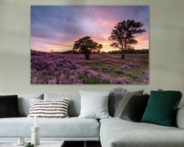 Sunset on the purple moors! by Peter Haastrecht, van