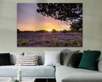 Sunset on the purple moors! by Peter Haastrecht, van