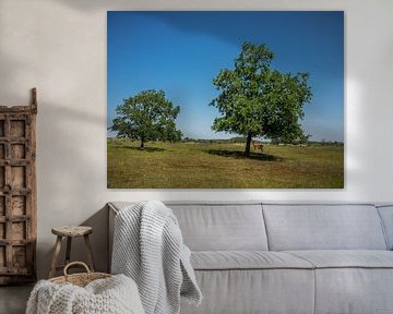 2 Trees and a fallow deer by Martijn Tilroe