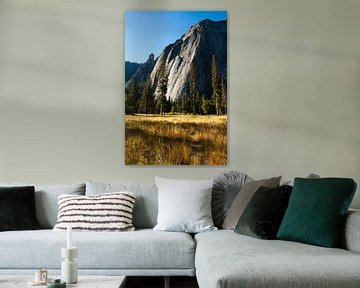 Wiese im Yosemite Valley von Klaas Lauwers