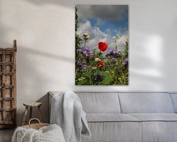 Champ de fleurs
