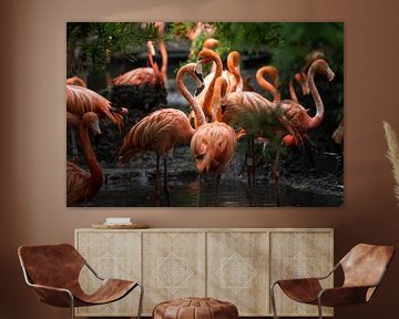 Flamingos von gwen van Mossevelde