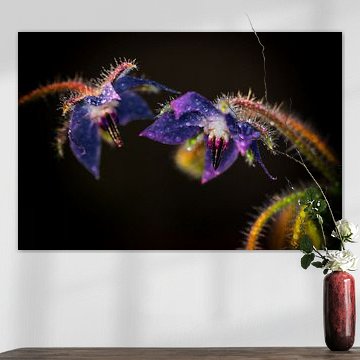 Natürliche Neonfarben