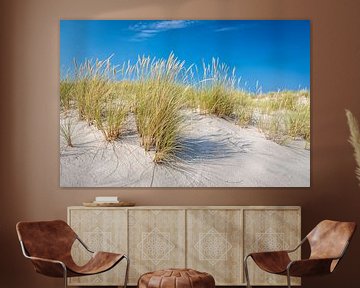 Herbe de plage sur la péninsule de Elbow, Sylt sur Christian Müringer