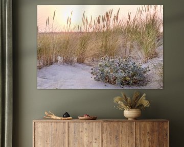 Beach thistle in the dunes on the Elbow Peninsula, Sylt by Christian Müringer