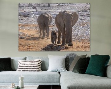 Olifanten in het Etosha National Park van GoWildGoNaturepictures