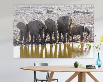 Elephants in Etosha National Park by GoWildGoNaturepictures