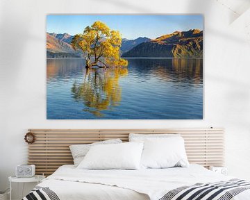 Lake Wanaka at sunrise, New Zealand by Markus Lange