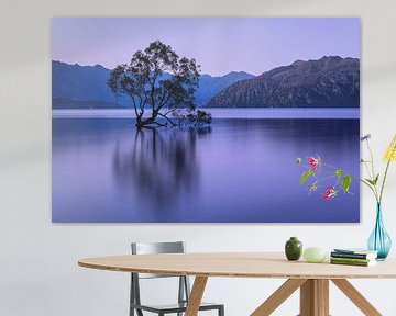 Le lac Wanaka à l'heure bleue, Nouvelle-Zélande sur Markus Lange