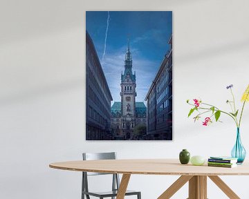 Germany, Hamburg, City Hall by Ingo Boelter