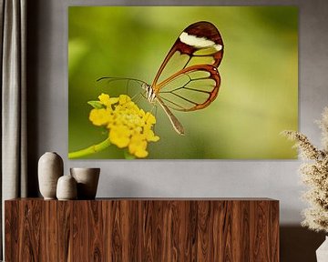 Schmetterling aus Glas von Roosmarijn Bruijns