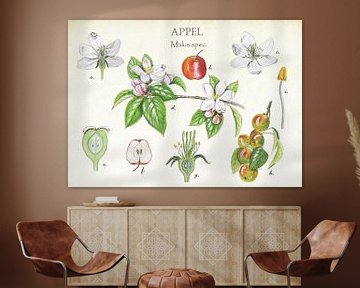 Apple tree by Jasper de Ruiter