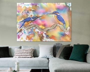 Colourful kingfishers by Jasper de Ruiter