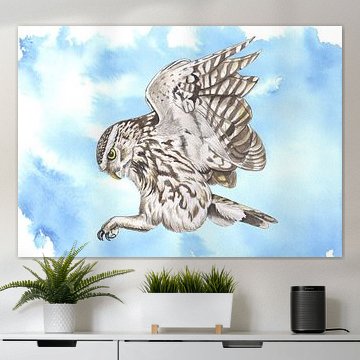 Steinkauz von Jasper de Ruiter