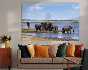 Olifanten langs de Chobe rivier van GoWildGoNaturepictures