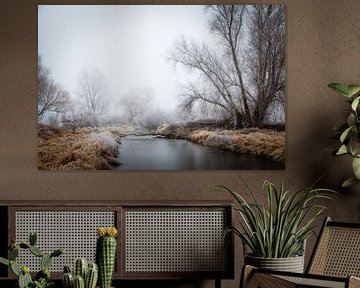 Watercourse by Diane Cruysberghs