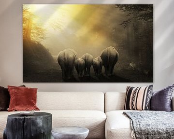 Op stap met de olifanten van Bert Hooijer