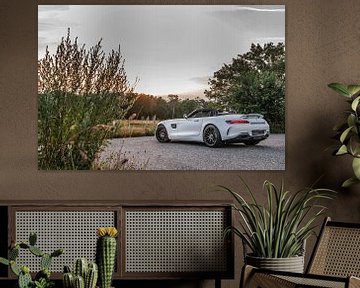 Mercedes-AMG GT Roadster Edition 50 van Bas Fransen