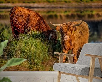 Scottish Highlanders by Bas Fransen