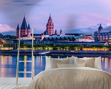 Mainz Cathedral by C. Nass