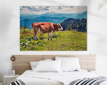 Kuh vor den Chiemgauer Alpen von C. Nass