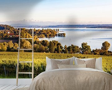 Vineyards near Überlingen on Lake Constance by Werner Dieterich