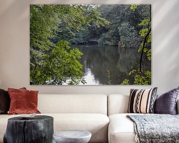 Hidden More by Heleen de Silva