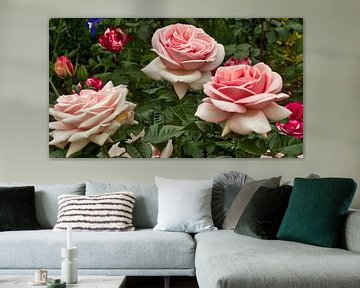 Bloeiende rozen van Carl-Ludwig Principe