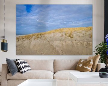 Texelse duinen van Brigitte Blaauw