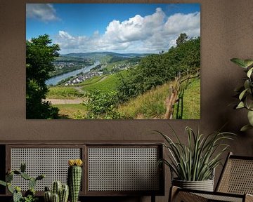 Moselle près de Bernkastel, Allemagne sur Alexander Ludwig