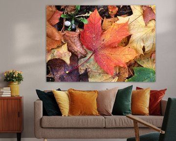 Kleurrijke herfstbladeren op de grond van MPfoto71