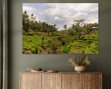 Rice terraces of Tegallalang, Bali, Indonesia by Zero Ten Studio