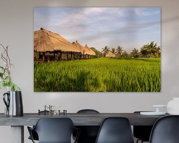 Rice fields near Ubud, Bali (Indonesia) by Zero Ten Studio