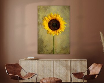 Still Life Sunflower by Clazien Boot