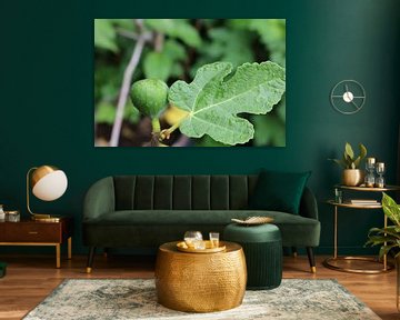 Groene vijg met vijgenblad van Rosalie Broerze