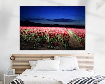 Tulips by Colinda De Vries - Trof